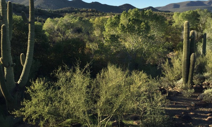 Cave Creek Cabaña | Casita privada en Cave Creek