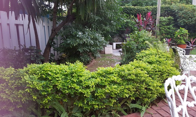 New Kingston Casa | Private Cosy Central