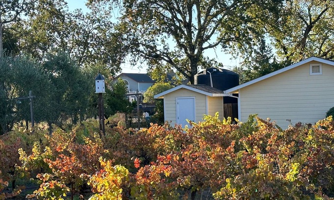 Windsor Cabaña | Private Cottage 5 minutes from Downtown Healdsburg and Windsor on country lane
