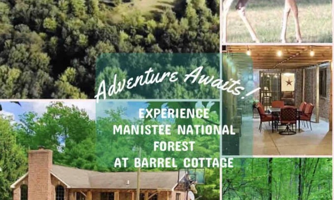 White Cloud Cabaña | Private cottage on 10 acres in Manistee National Forest