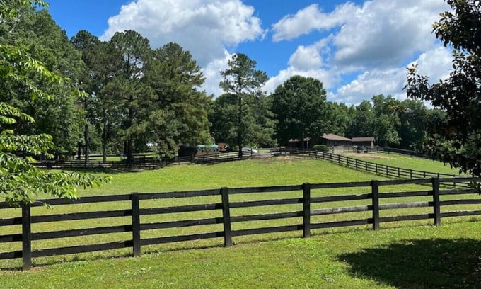 Berkeley Cabaña | Private Cottage on Horse Farm in Williamsburg!