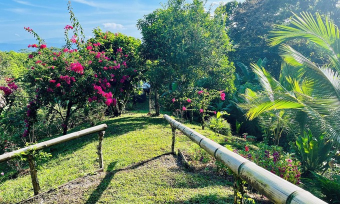 Puerto Jiménez Cabina | Private cabin with stunning views & home-cooked meals
