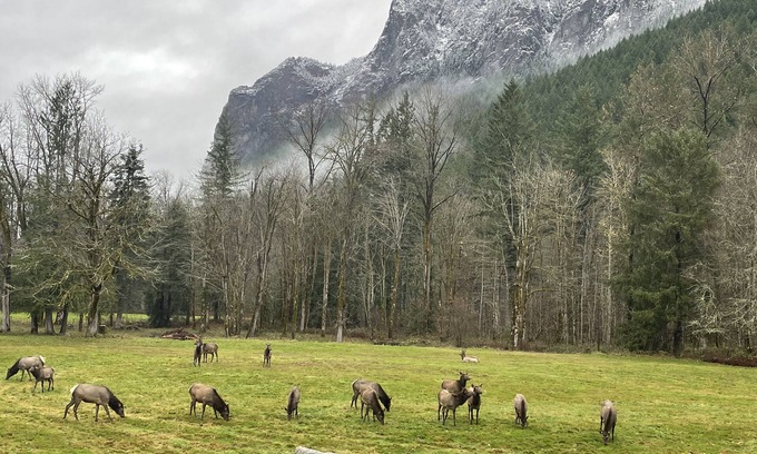 North Bend Cabaña | Private downtown home VIEWS -OUTDOOR TUBS + Fire Pit