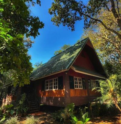 Ban Luang Casa | Private Forest Cottage in Near Chiang Mai