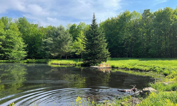 Bromont Apartamento | HAVEN OF PEACE IN THE COUNTRYSIDE SURROUNDED BY A PRIVATE FOREST WITH PATHS AND POND.