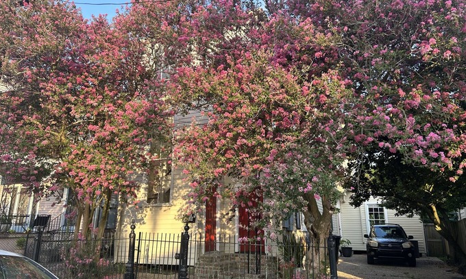 Lower Garden District Casa | Private Garden District Home