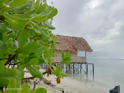 Raja Ampat Casa | Private Guest House