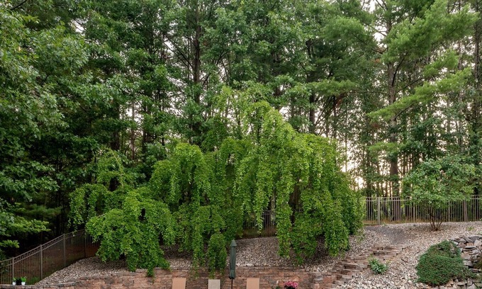 Saratoga Springs Casa | Private Heated Pool on 2 acres