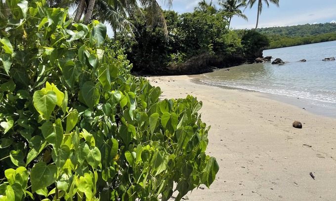 Savusavu Casa | Private Island Escape Fiji ,Yoga,Wellness & Beachfront Serenity.