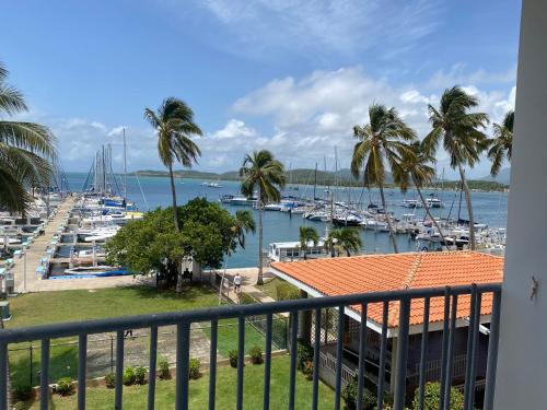 Fajardo Apartamento | Prívate Island in the Caribbean