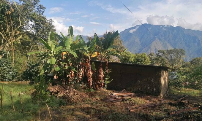 Quillabamba Cama Y Desayuno | Private jungle ecolodge - whole estate & cafés