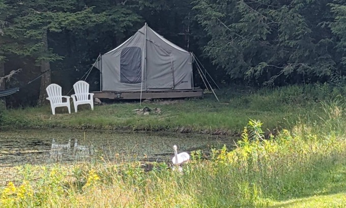 Parksville Alquiler De RV | Private Lakefront Glamping Campsite