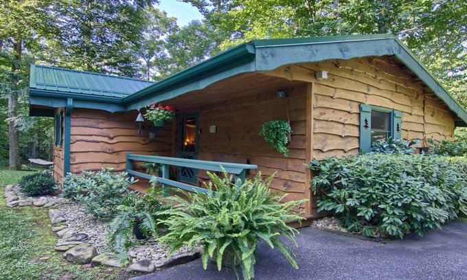 Candler Cabina | ESCAPADA PRIVADA DE PAREJA DE MONTAÑA. 16 MI A ASHEVILLE. CREEK, TINA CALIENTE, CHIMENEA