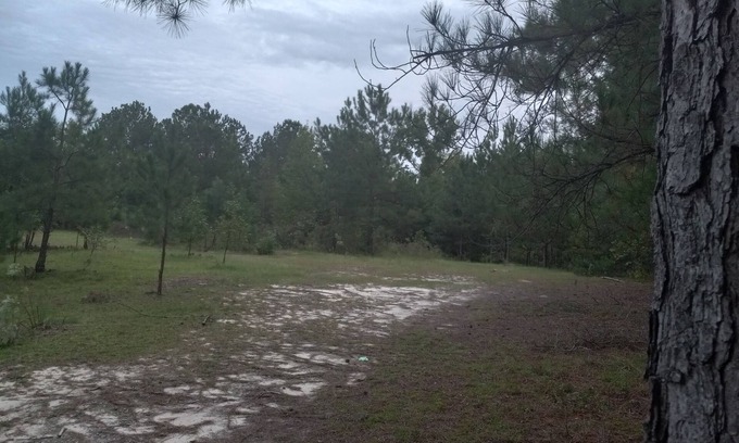 Cordova Alquiler De RV | Private Nature Oriented Campground