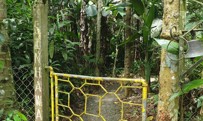 Lipa Otro | Private Nature Retreat w/Brick Oven & Hiking