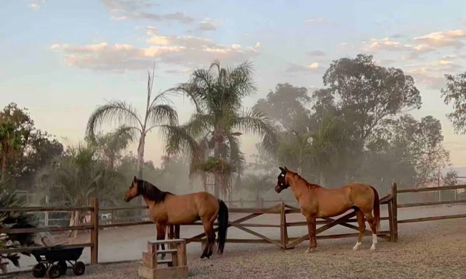 Bonsall Casa | Private Petting Zoo - Glamping Ranch Vibes