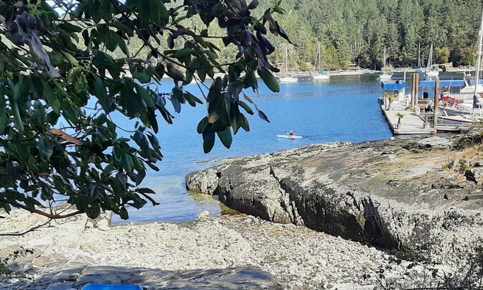 Maple Bay Apartamento | Private suite tucked between a peaceful mountain forest and a tranquil ocean bay