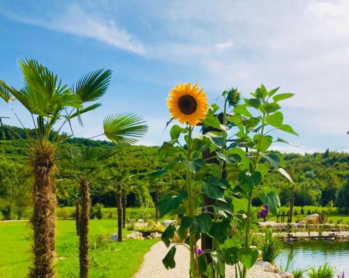 Jalzabet Apartamento | Private Village Varazdin