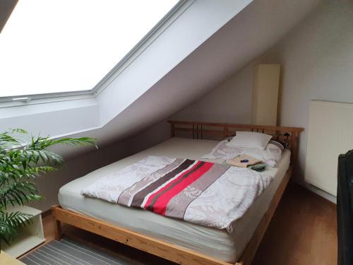 Unterallgau Apartamento | Privatzimmer mit Balkon im schönen Allgäu