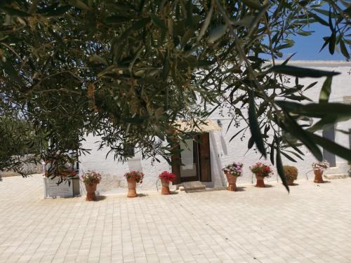Cozzana Apartamento | Profumo Di Terra