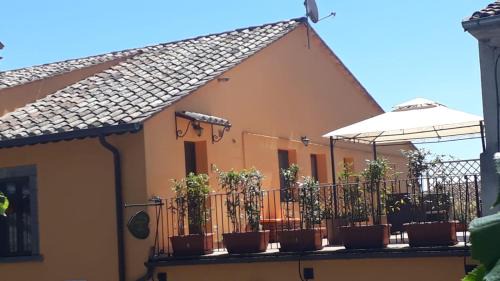 Bagnoregio Casa | "Profumo di Tiglio"