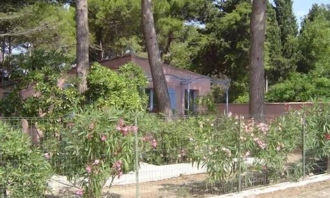 La Franqui Casa | ¡PROMO! La casa de campo franqui bajo los pinos en pueblo encantador