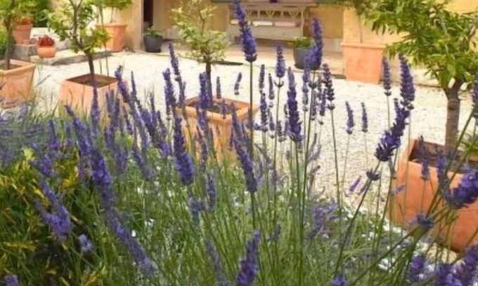 Pouzilhac Casa | PROVENCAL VILLA SWIMMING POOL GARDEN UZES 10 PEOPLE