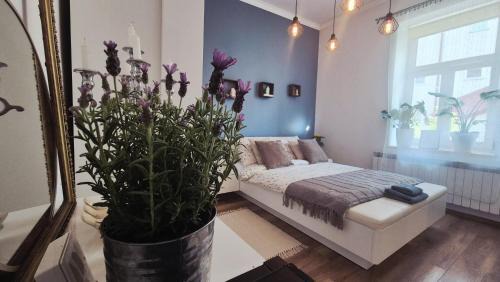Przemysl Apartamento | Przemyślany Azyl II