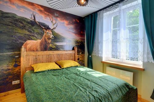 Myslakowice Apartamento | Przepiękny apartament blisko gór