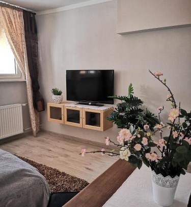 Swiebodzin Apartamento | Przy ratuszu