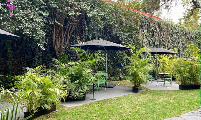 Polanco Cama Y Desayuno | Pug Seal Polanco Anatole France