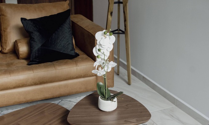 Coyoacán Apartamento | Punto Lofts Periférico Sur