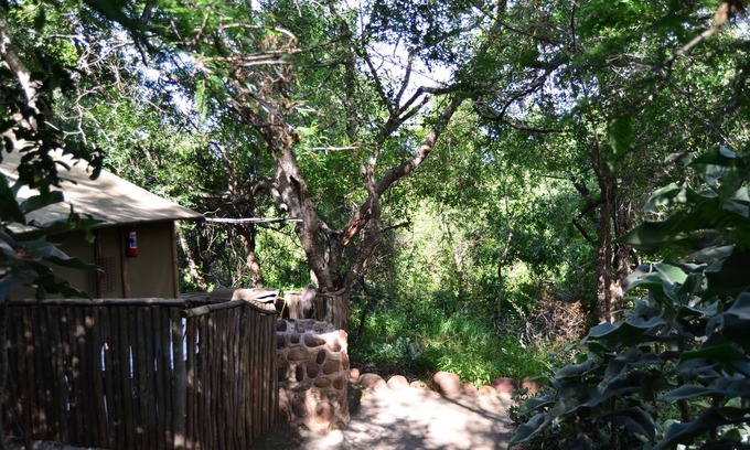Thorny Bush Game Reserve Casa | Pura naturaleza en Amanzimlotzi Riverside Bush Tent en Limpopo, Kruger Park