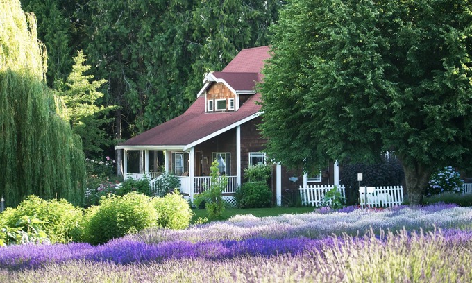 Sequim Casa | Purple Haze Lavender Farm