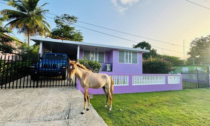 Esperanza Casa | Purple Sunset - Walk to Malecon & Beaches