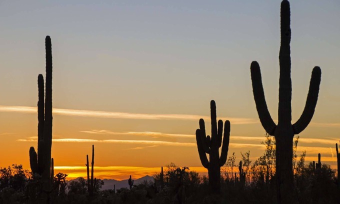 Pima Meadows Casa | Cerca de Giants Spring Training y Old Town Scottsdale + Golf gratis, piscina privada y barbacoa, TV en todas las habitaciones.