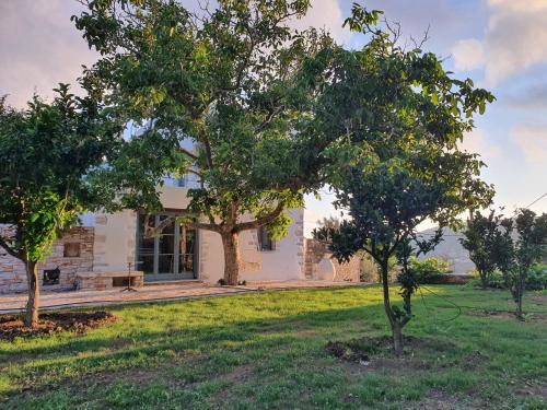 Chalkio Casa | PYRGOS - Traditional house at Kaloxilos, Naxos