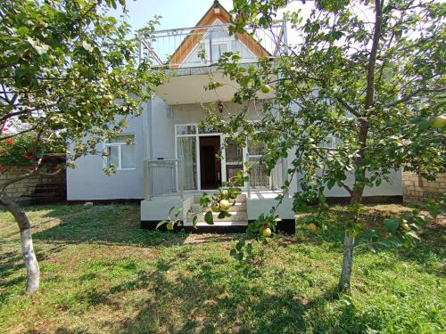 Gabala Villa | Qəbələn SNS RENTAL VILLA