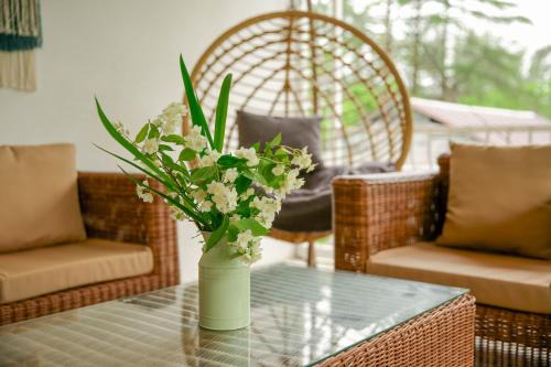 Magnetiti Casa | Qiwi House