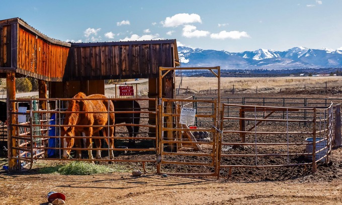 Mancos Apartamento | Quaint Mancos Getaway w/ Farm & Mountain Views