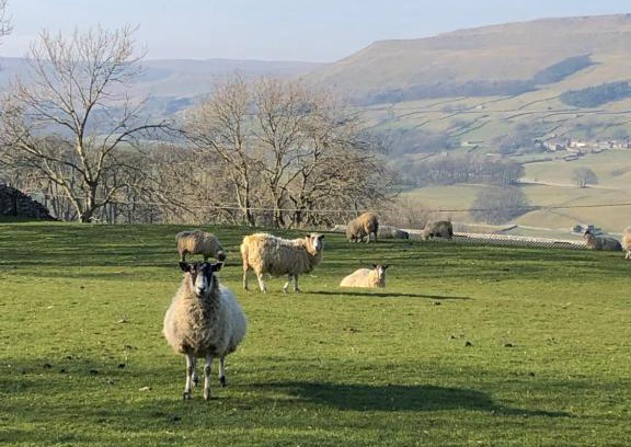 Burtersett Casa | Quarry Cottage near Hawes, Yorkshire Dales, Pet free
