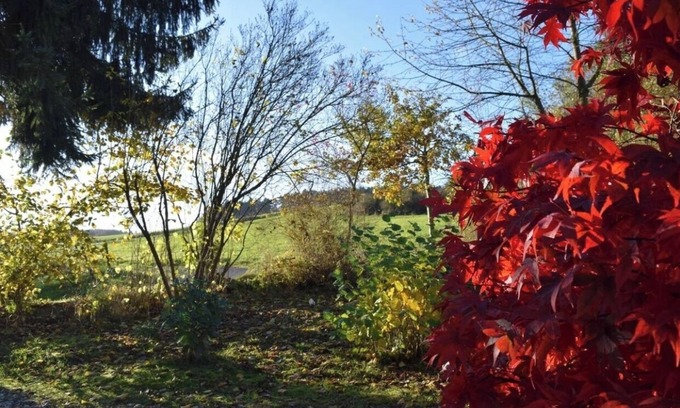 Rederscheid Apartamento | Quiet & cosy Apartment - country side in Niedersteinebach