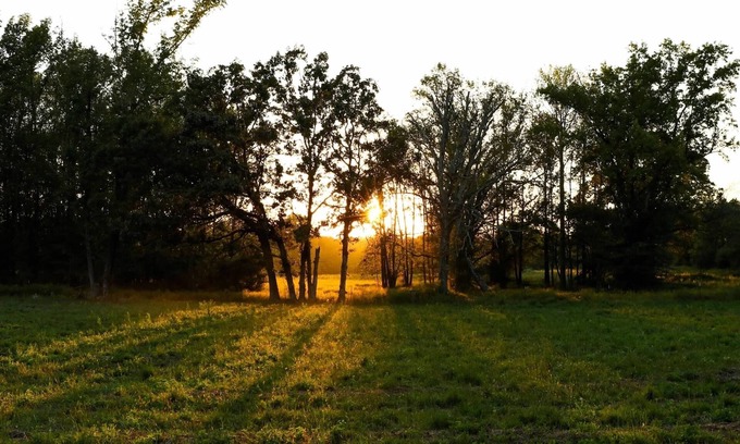 Clarksville Casa | Quiet country home on a homestead farm