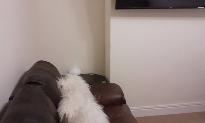 Wolverhampton Casa | Quiet double rooms available in leafy suburb of Newbridge (West Wolverhampton).
