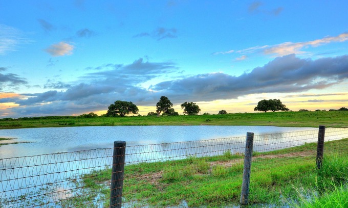Sutherland Springs Cabina | Escape tranquilo en un rancho del sur de Texas Casa cabina 2BR con capacidad para 4