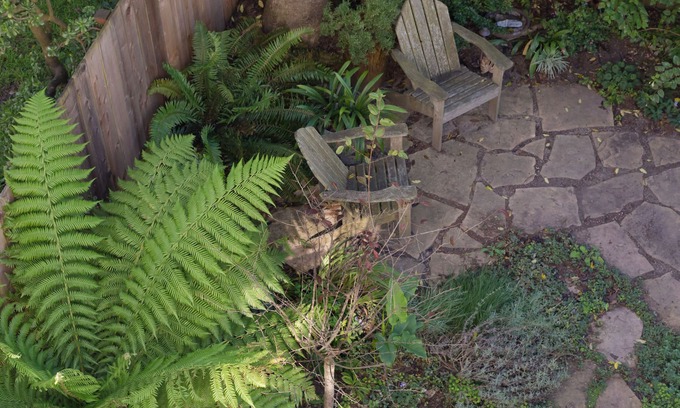 Inner Sunset Apartamento | Quiet Garden Studio zona de Golden Gate Park