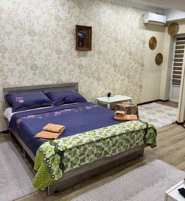 Bishkek Apartamento | Quiet privacy in the studio