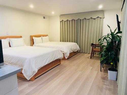 San Bruno Casa | Quiet Private Room Near SFO with Free Parking