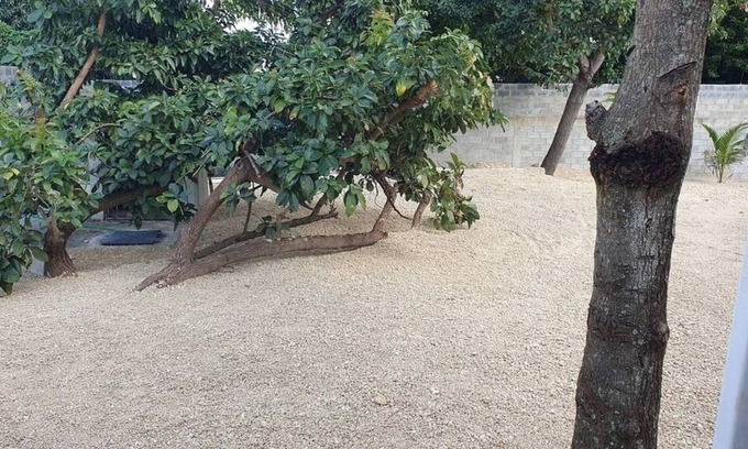 Bajos de Haina Casa | Refugio tranquilo en San Gregorio de Nigua, historia, naturaleza y seguridad.
