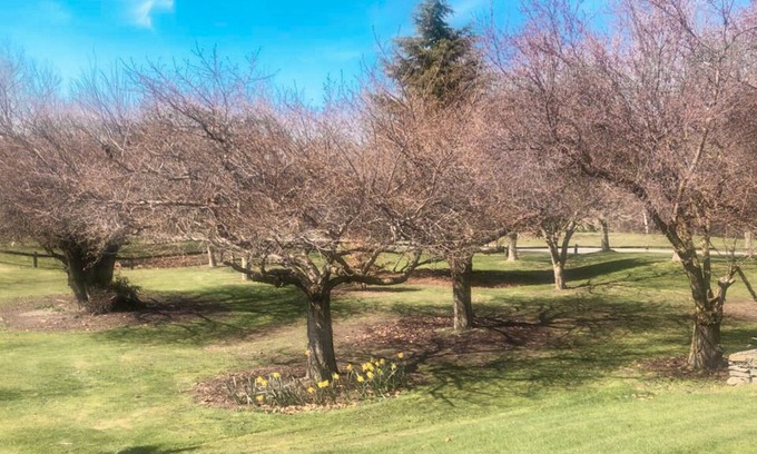 Lower Shotover Casa | Quiet & Secluded in Quail Rise